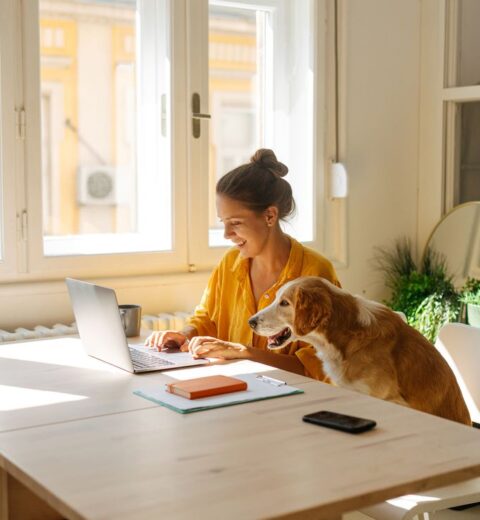 Invoice_Wire_Transfer_18043